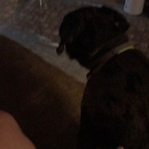 Meet your Posher, Edward